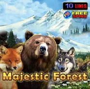 Majestic-Forest на Chempion